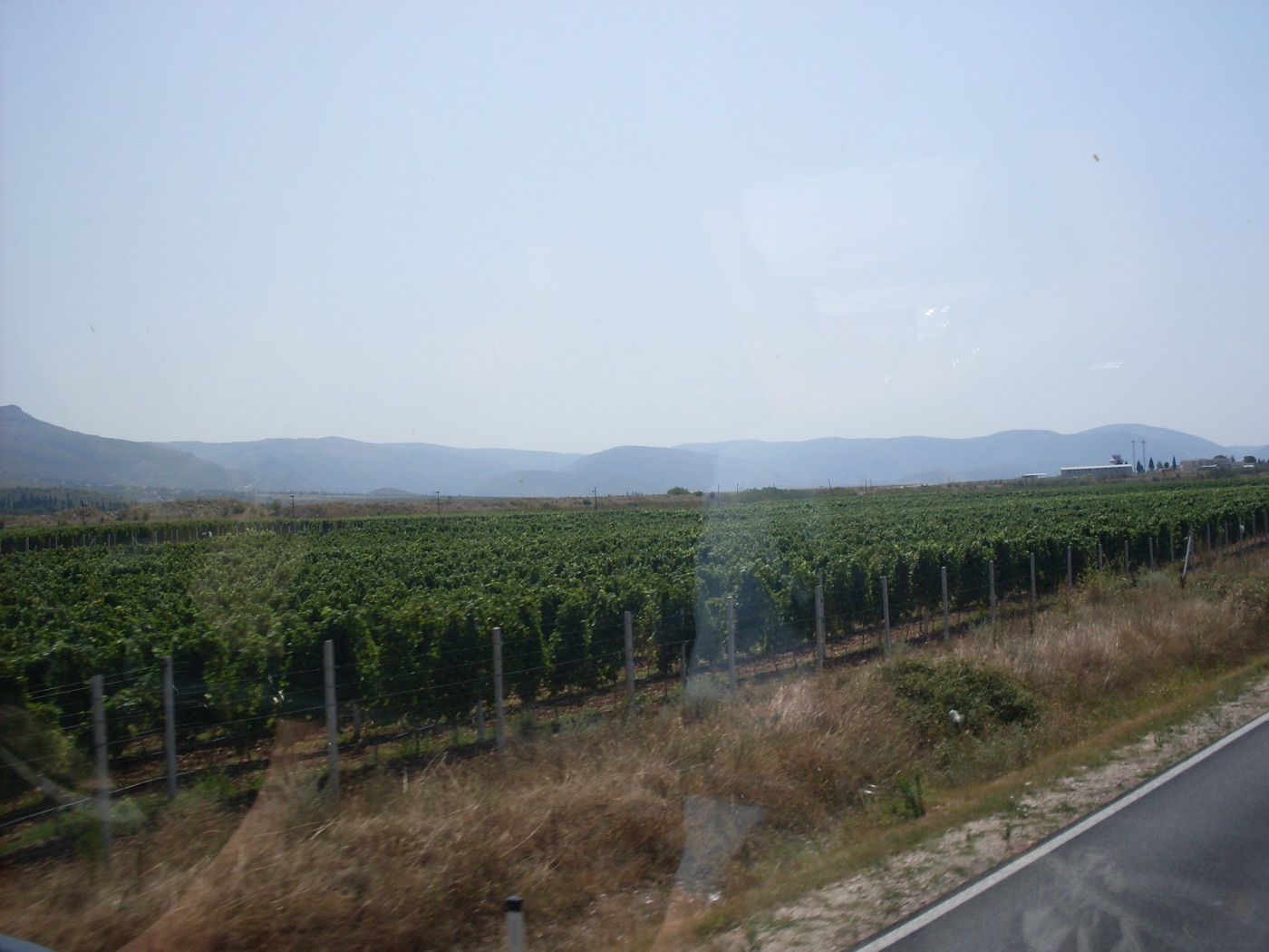 Vinski podrum Elez · Fotografija 1