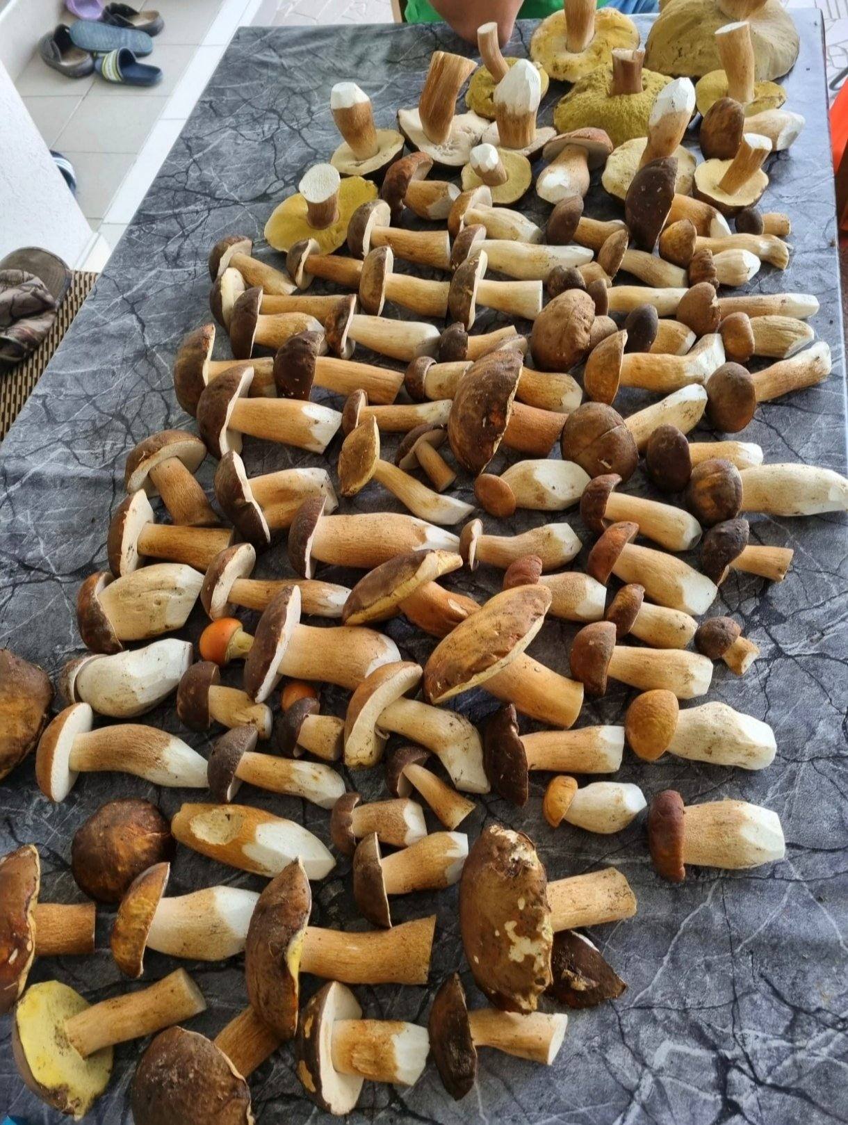 Cover photo — BIS EKO FOOD