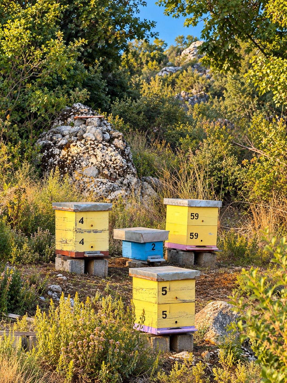 Naslovna fotografija — Pčelarstvo Kovač