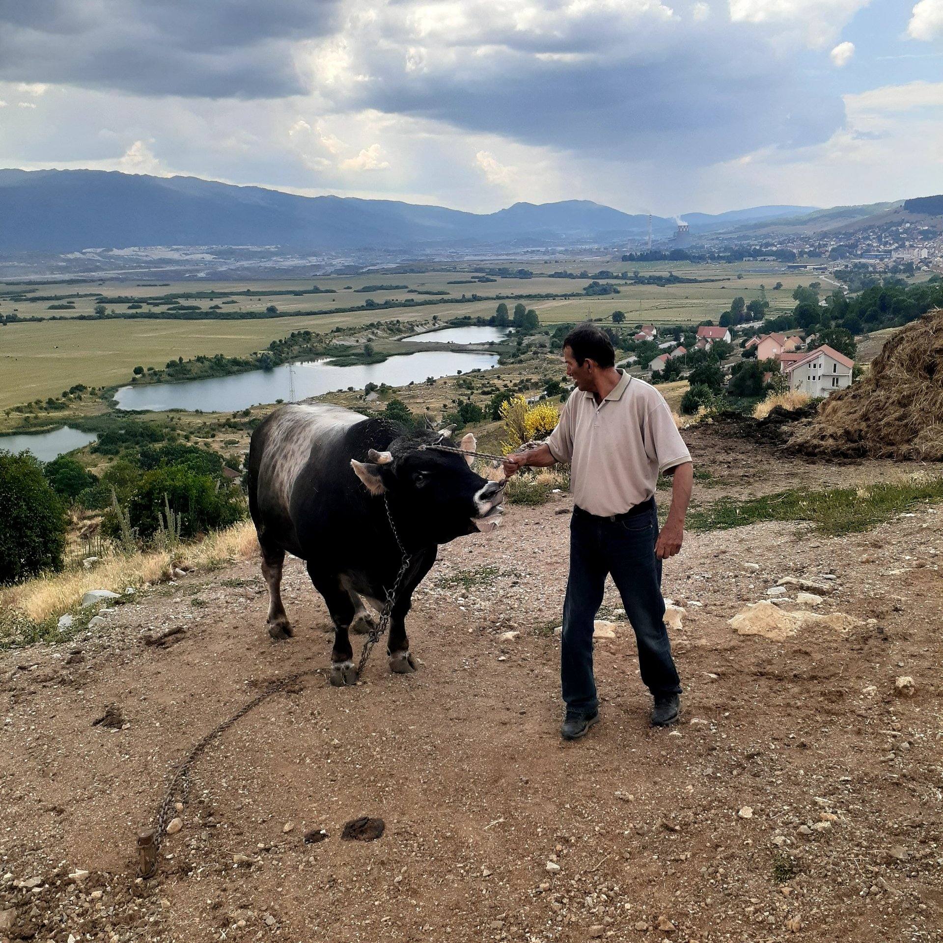 Cover photo — Gazdinstvo Lučić