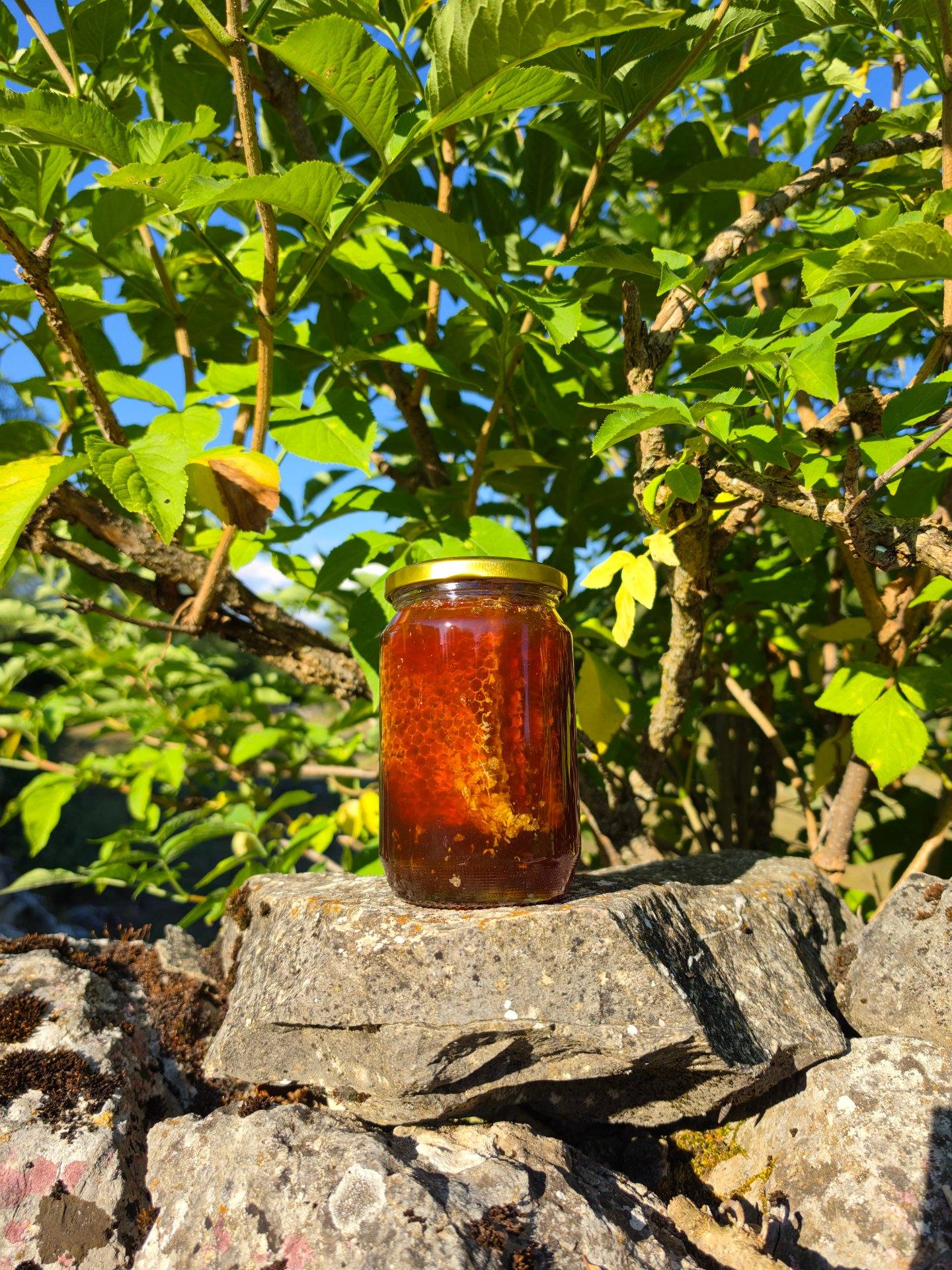 Cover photo — Organski pčelinjak Kovačević